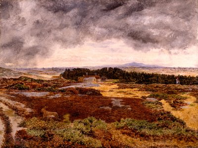 Vista da Bidston Hill da William Davis